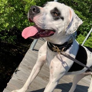 Meet your Posher, Megan